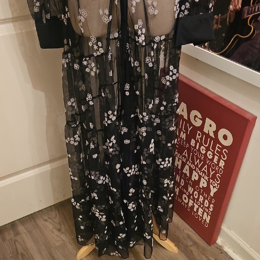 Chic Black Floral Embroidered Long Sleeve Sheer Maxi Dress - Picture 4 of 10